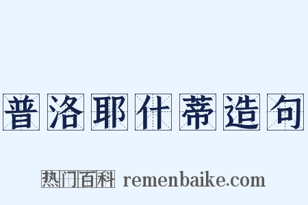 普洛耶什蒂造句是什么意思的图片